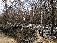 Индивидуальный жилой дом с участком. 29 марта 2026 (вс).