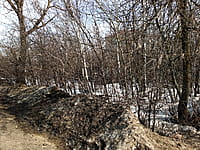 Индивидуальный жилой дом с участком. 29 марта 2026 (вс).