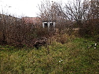 Туалет. 29 октября 2022 (сб).