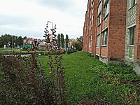 Летний парк Городского Дворца культуры. 30 августа 2025 (сб).