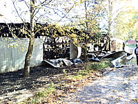 "Малина", кафе. 01 октября 2025 (ср).