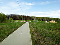 Малый пруд. 25 апреля 2024 (чт).