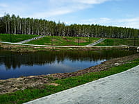 Малый пруд. 25 апреля 2024 (чт).