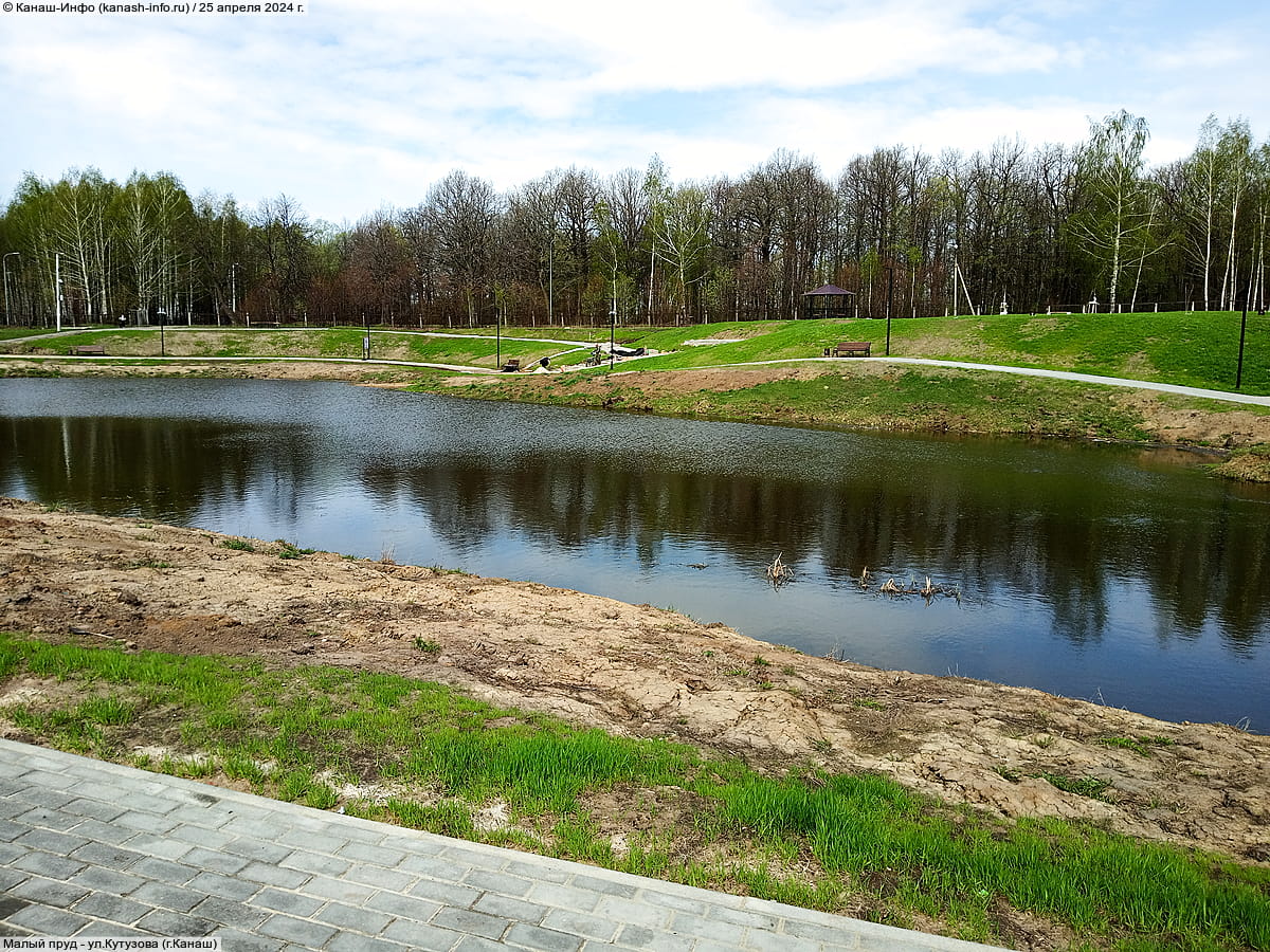 Малый пруд. 25 апреля 2024 (чт).