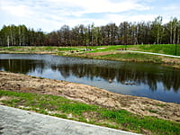 Малый пруд. 25 апреля 2024 (чт).