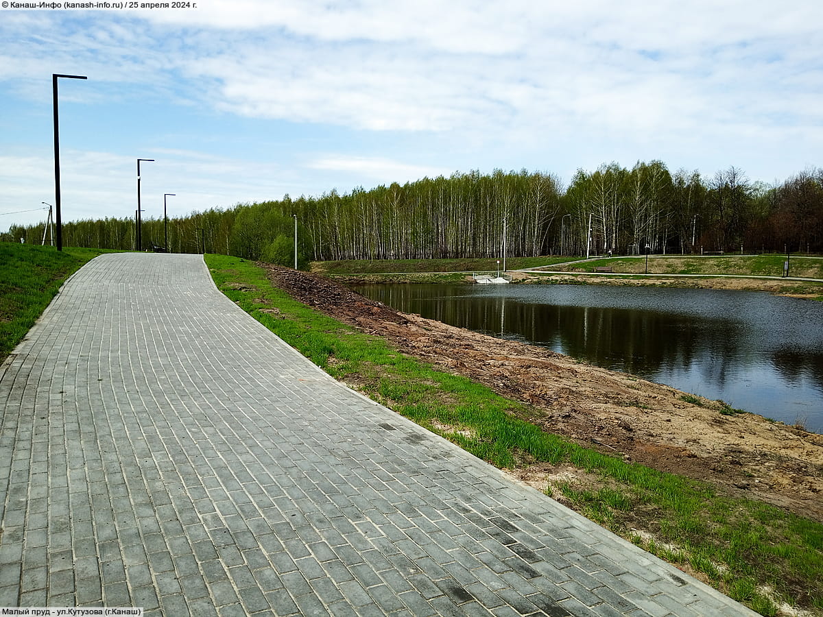 Малый пруд. 25 апреля 2024 (чт).