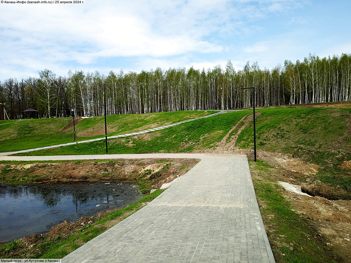 Малый пруд. 25 апреля 2024 (чт).