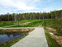 Малый пруд. 25 апреля 2024 (чт).