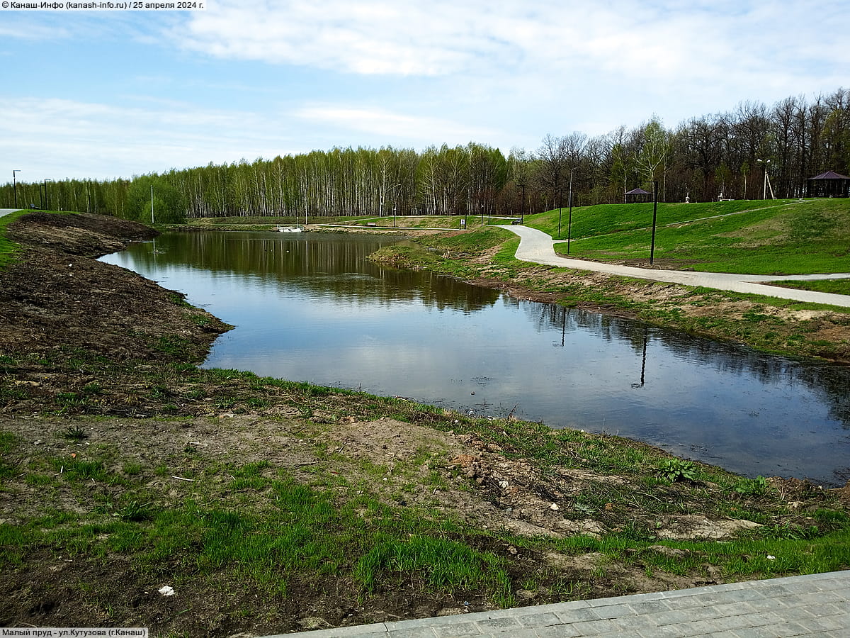 Малый пруд. 25 апреля 2024 (чт).