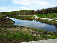 Малый пруд. 25 апреля 2024 (чт).