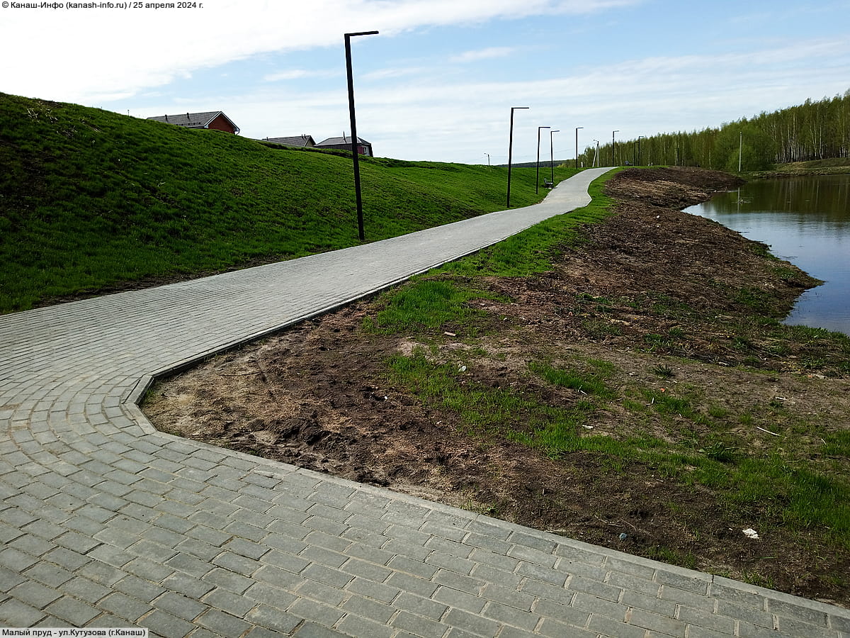 Малый пруд. 25 апреля 2024 (чт).