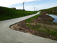 Малый пруд. 25 апреля 2024 (чт).