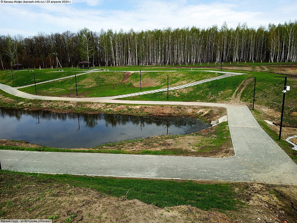 Малый пруд. 25 апреля 2024 (чт).