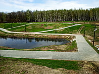 Малый пруд. 25 апреля 2024 (чт).