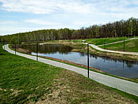 Малый пруд. 25 апреля 2024 (чт).