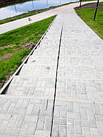 Малый пруд. 25 апреля 2024 (чт).