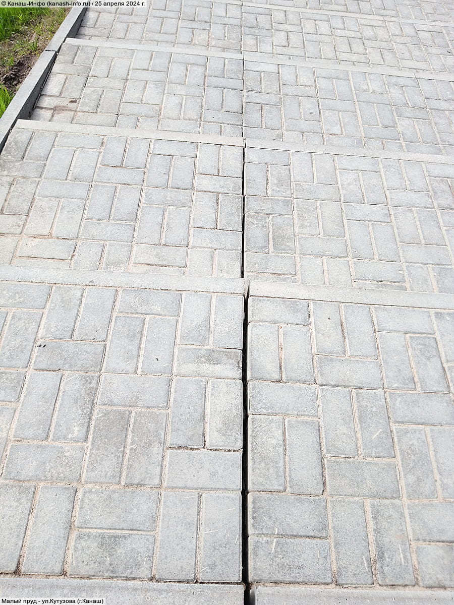 Малый пруд. 25 апреля 2024 (чт).