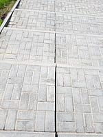 Малый пруд. 25 апреля 2024 (чт).