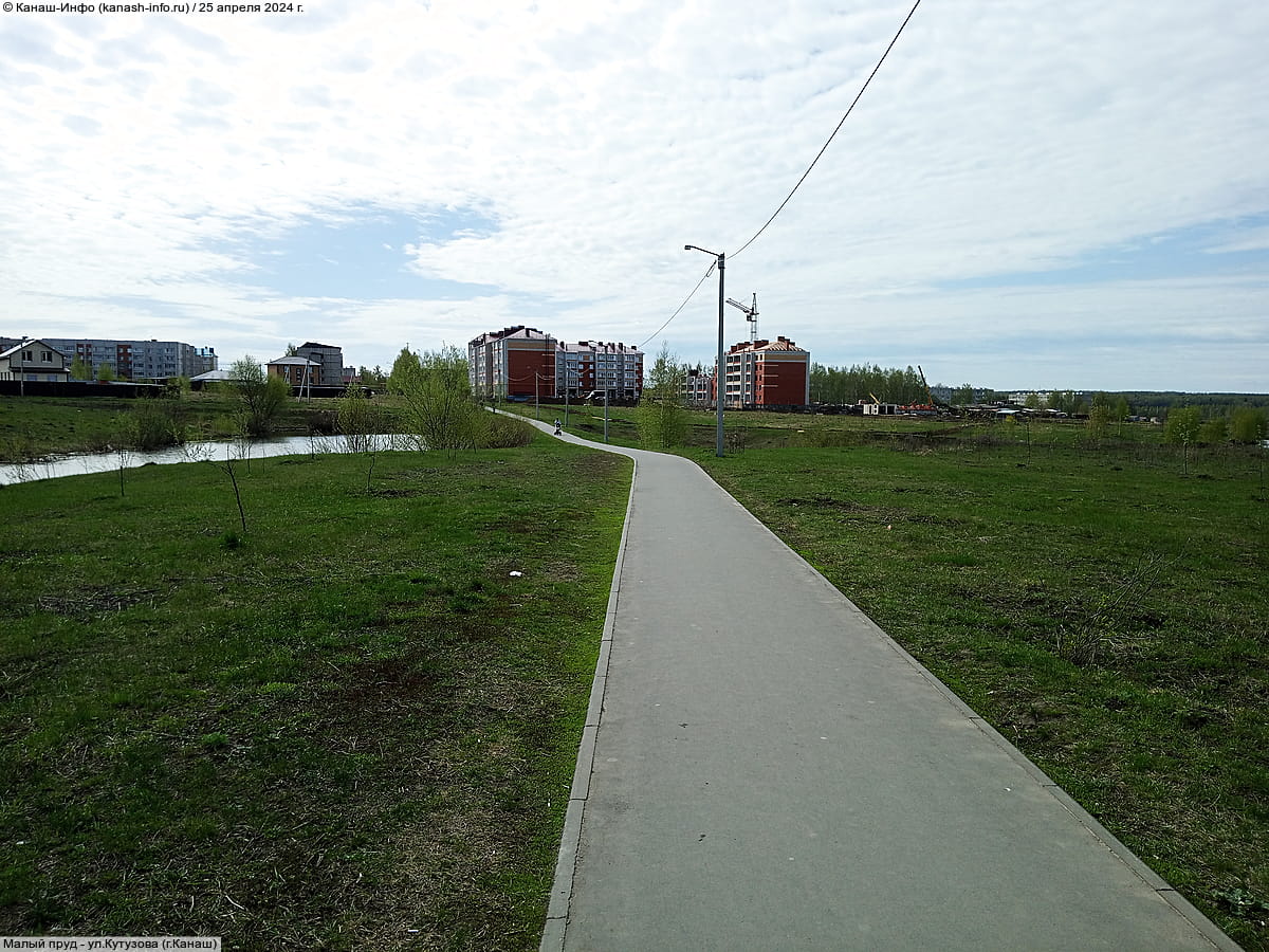 Малый пруд. 25 апреля 2024 (чт).