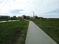 Малый пруд. 25 апреля 2024 (чт).