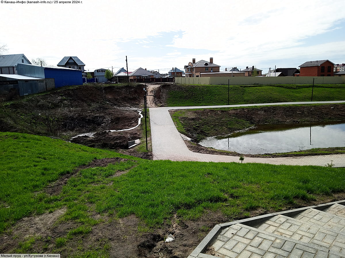 Малый пруд. 25 апреля 2024 (чт).