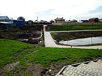 Малый пруд. 25 апреля 2024 (чт).