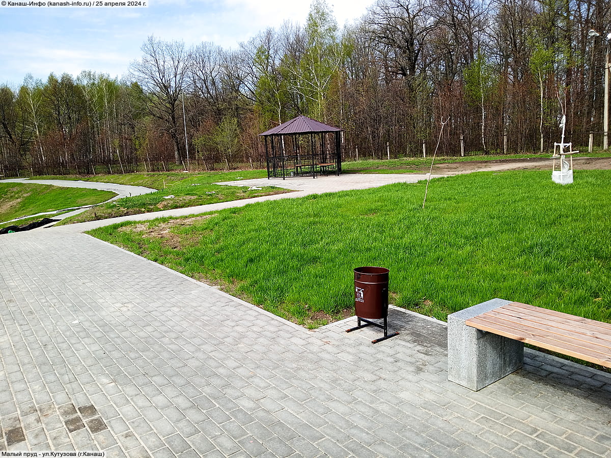 Малый пруд. 25 апреля 2024 (чт).