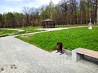 Малый пруд. 25 апреля 2024 (чт).