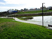 Малый пруд. 25 апреля 2024 (чт).