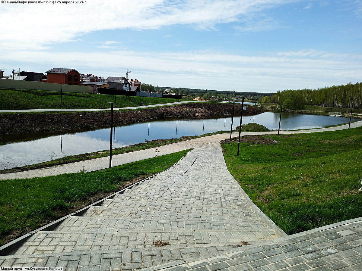 Малый пруд. 25 апреля 2024 (чт).