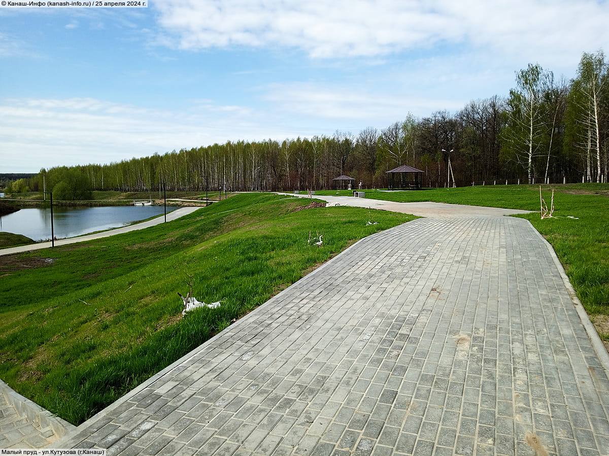 Малый пруд. 25 апреля 2024 (чт).