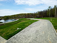 Малый пруд. 25 апреля 2024 (чт).