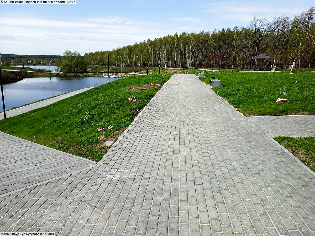 Малый пруд. 25 апреля 2024 (чт).