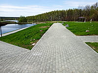 Малый пруд. 25 апреля 2024 (чт).