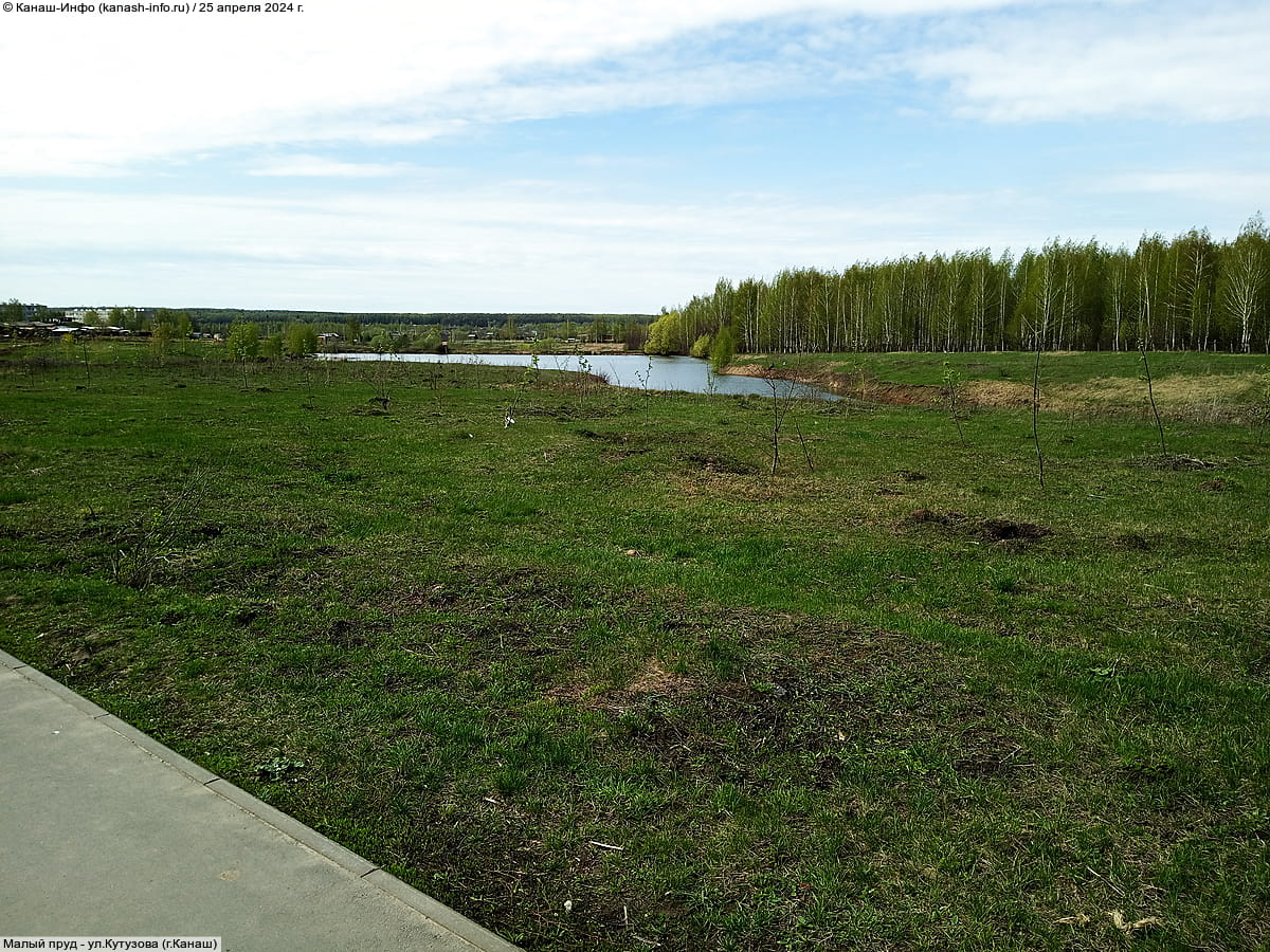 Малый пруд. 25 апреля 2024 (чт).