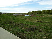 Малый пруд. 25 апреля 2024 (чт).