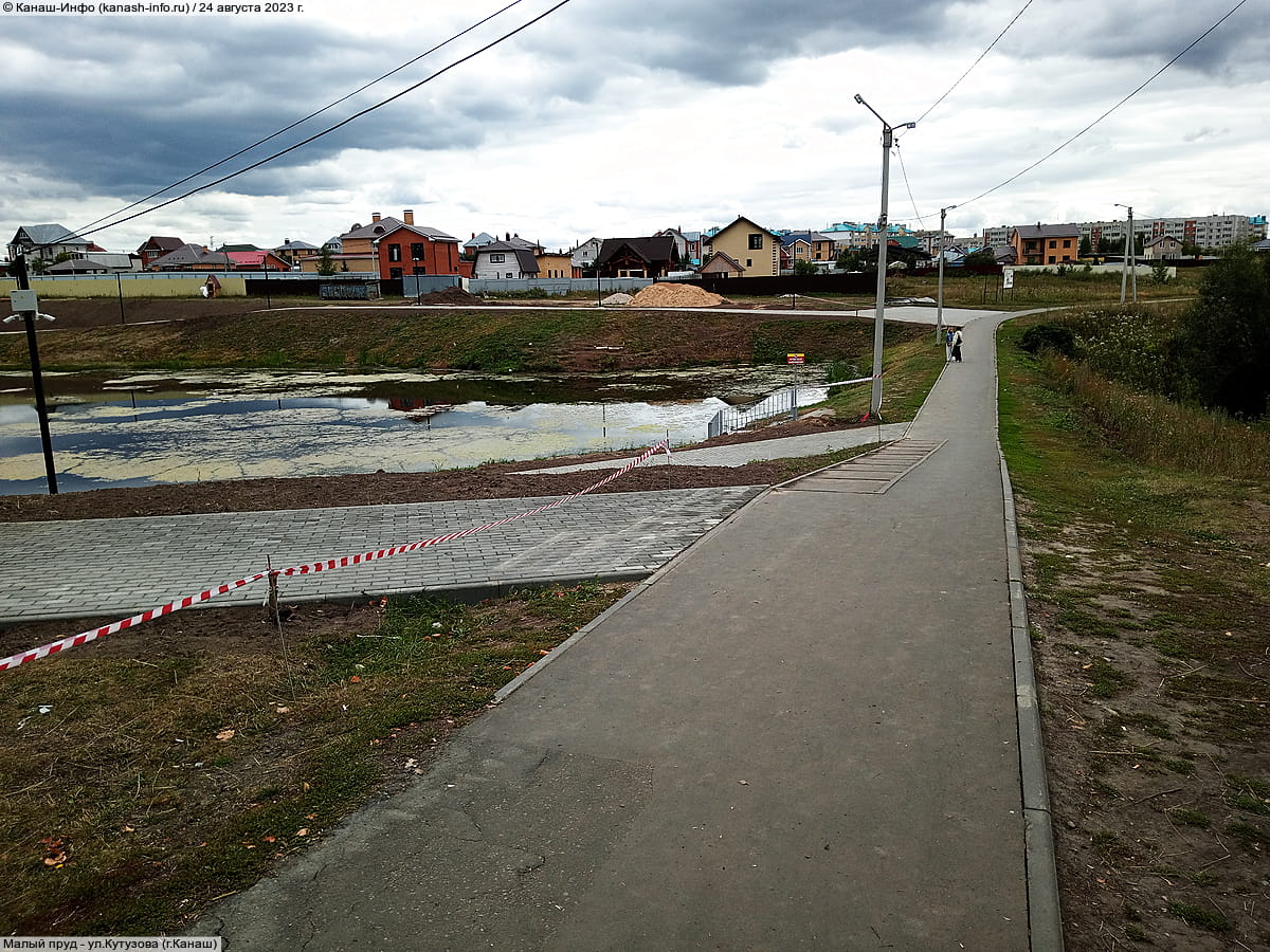Малый пруд. 24 августа 2023 (чт).