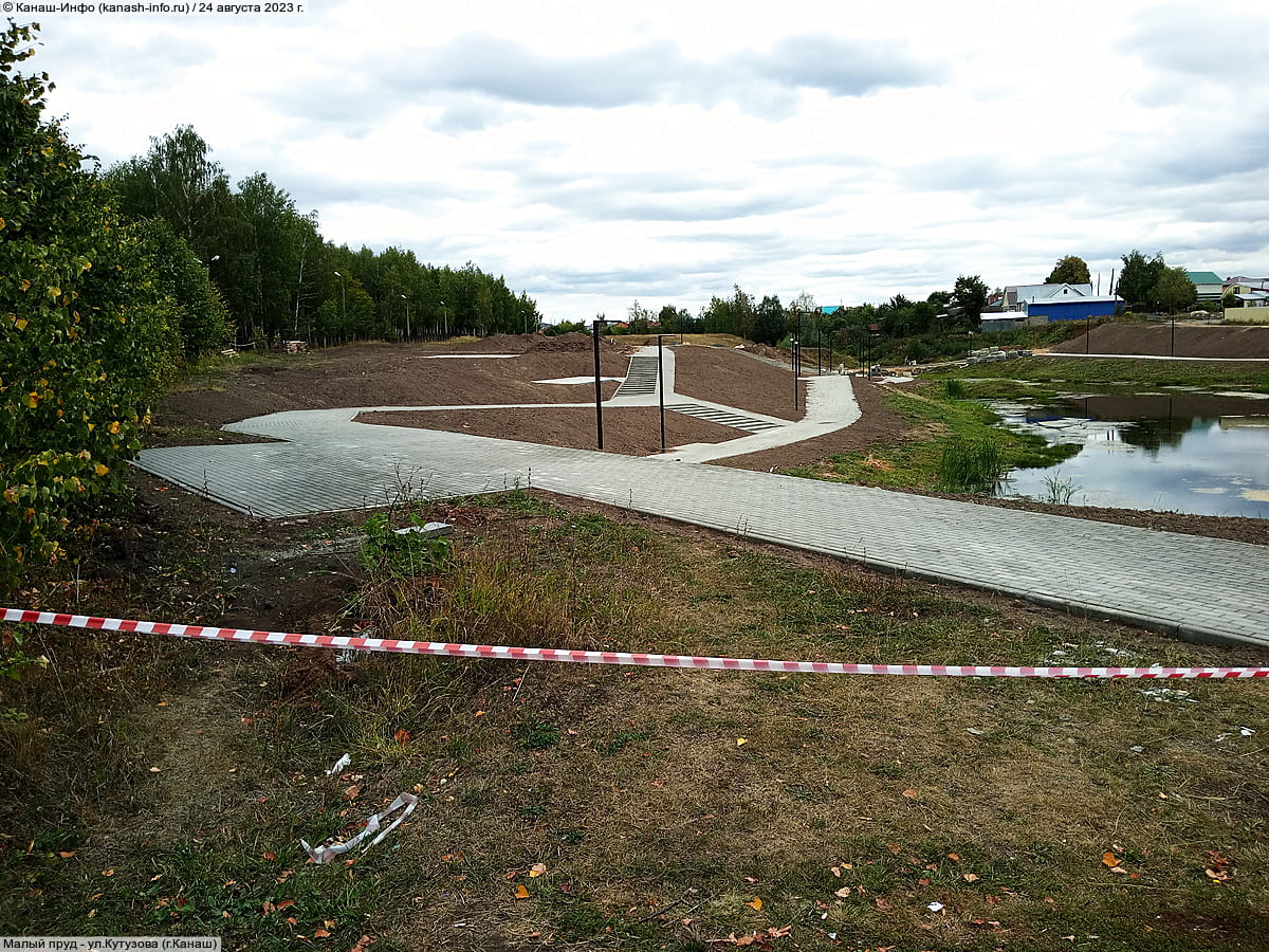 Малый пруд. 24 августа 2023 (чт).