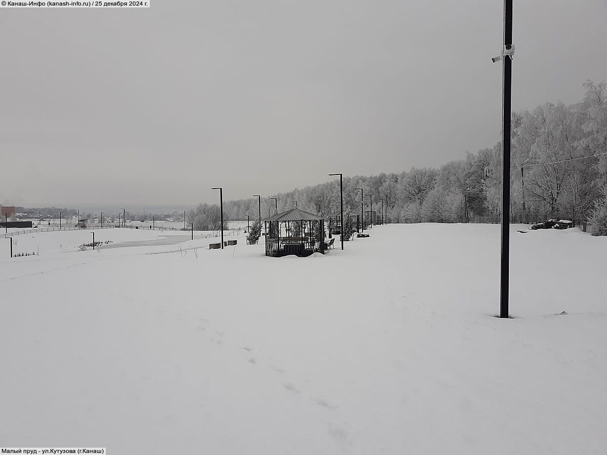 Малый пруд. 25 декабря 2024 (ср).