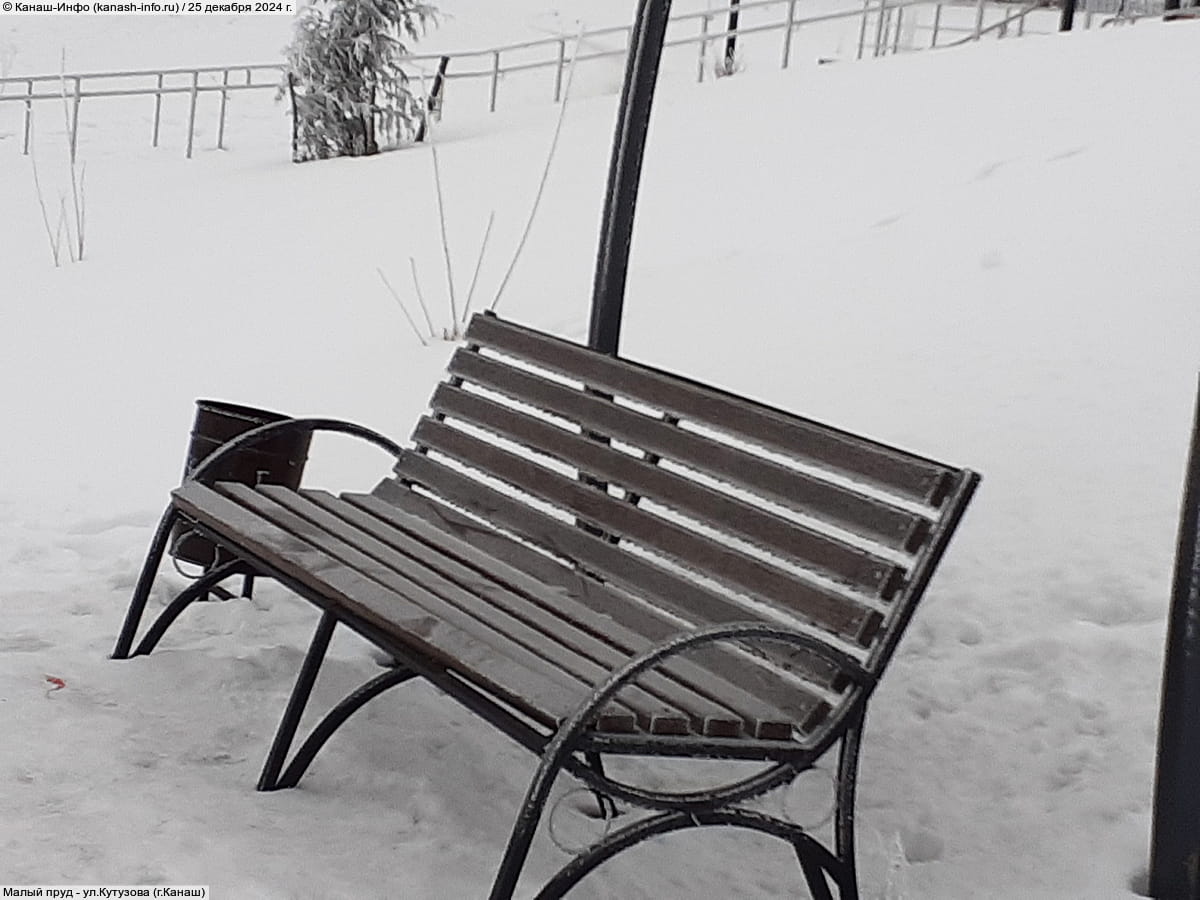 Малый пруд. 25 декабря 2024 (ср).