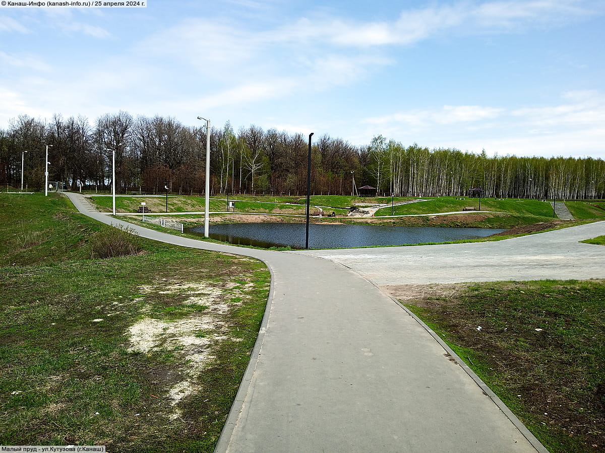 Малый пруд. 25 апреля 2024 (чт).