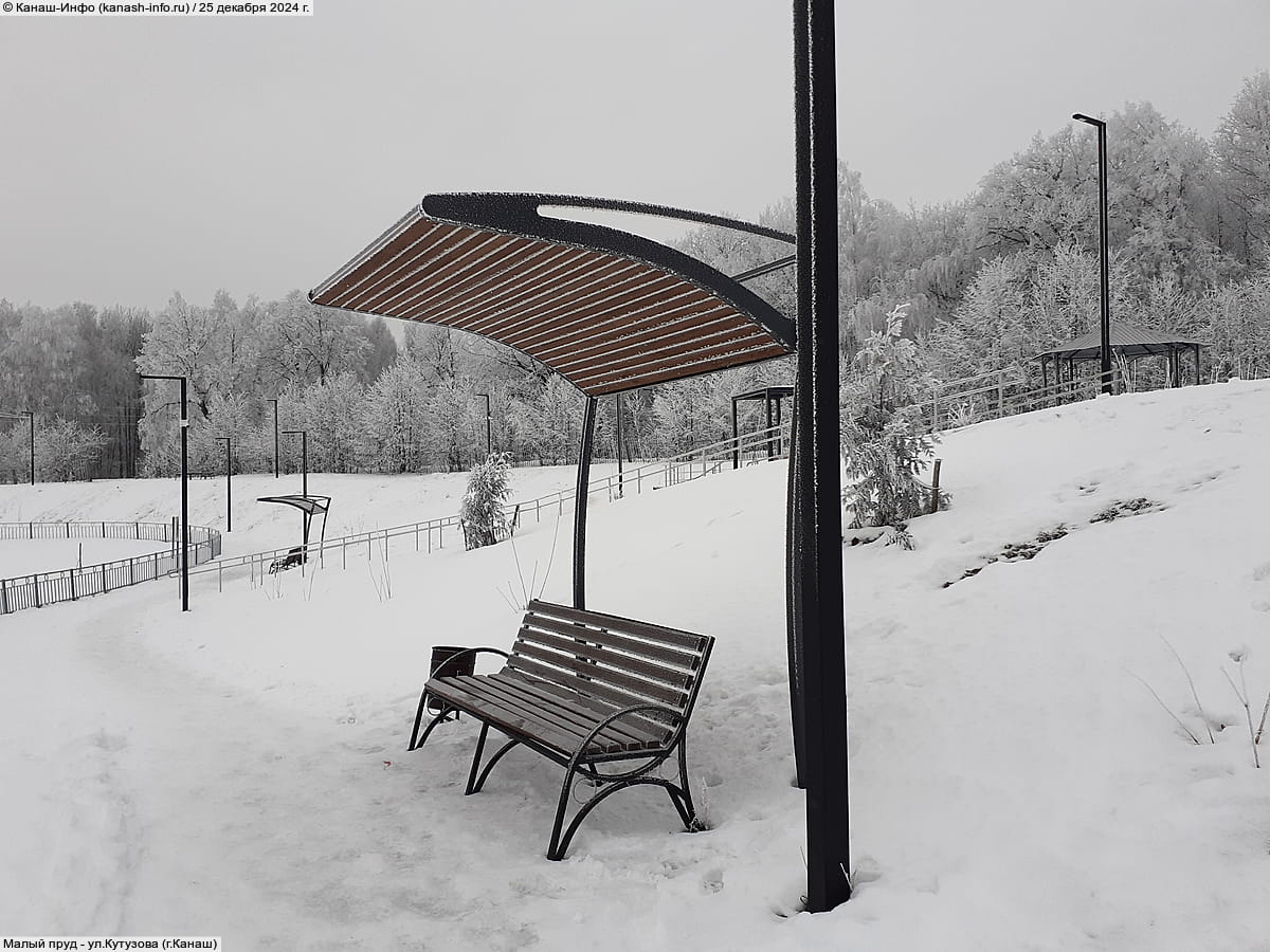 Малый пруд. 25 декабря 2024 (ср).