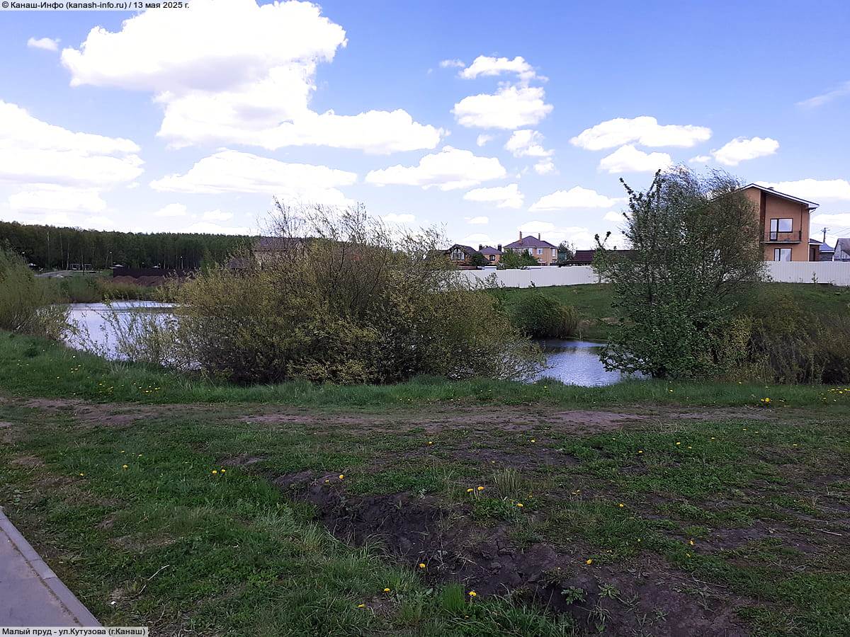 Малый пруд. 13 мая 2025 (вт).
