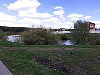 Малый пруд. 13 мая 2025 (вт).