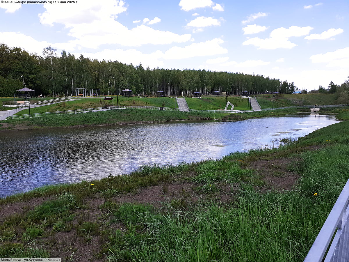 Малый пруд. 13 мая 2025 (вт).