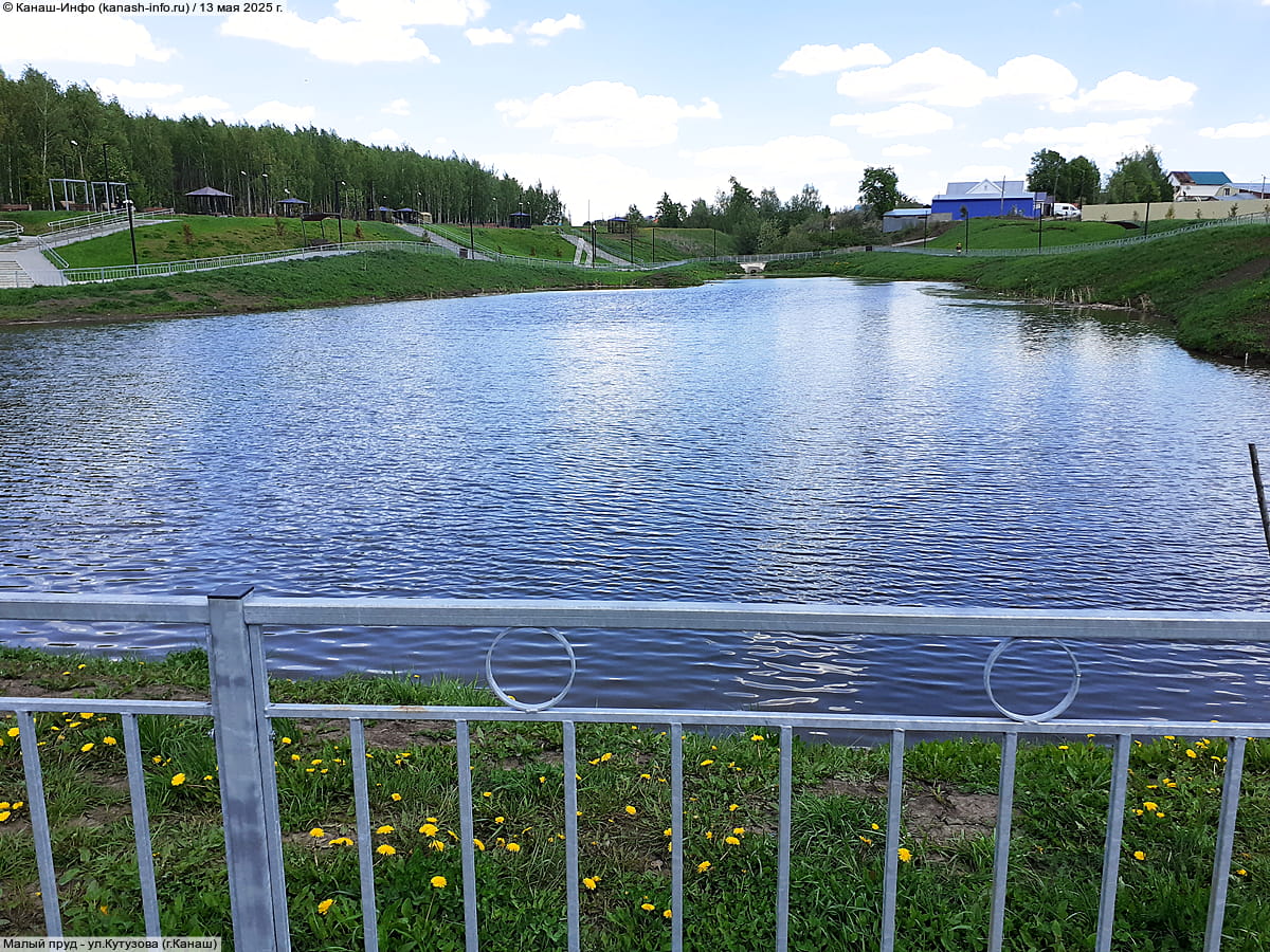 Малый пруд. 13 мая 2025 (вт).