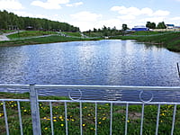 Малый пруд. 13 мая 2025 (вт).