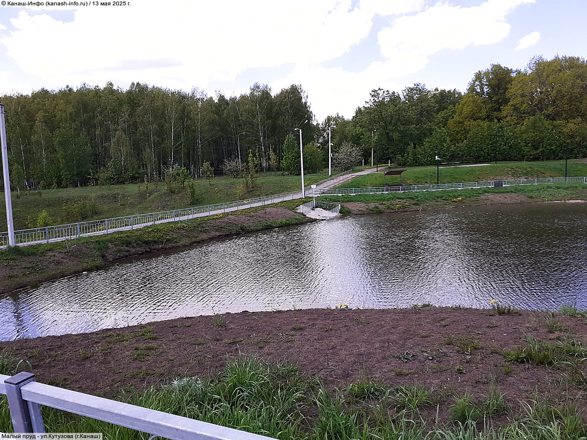 Малый пруд. 13 мая 2025 (вт).