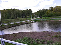 Малый пруд. 13 мая 2025 (вт).