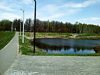 Малый пруд. 25 апреля 2024 (чт).